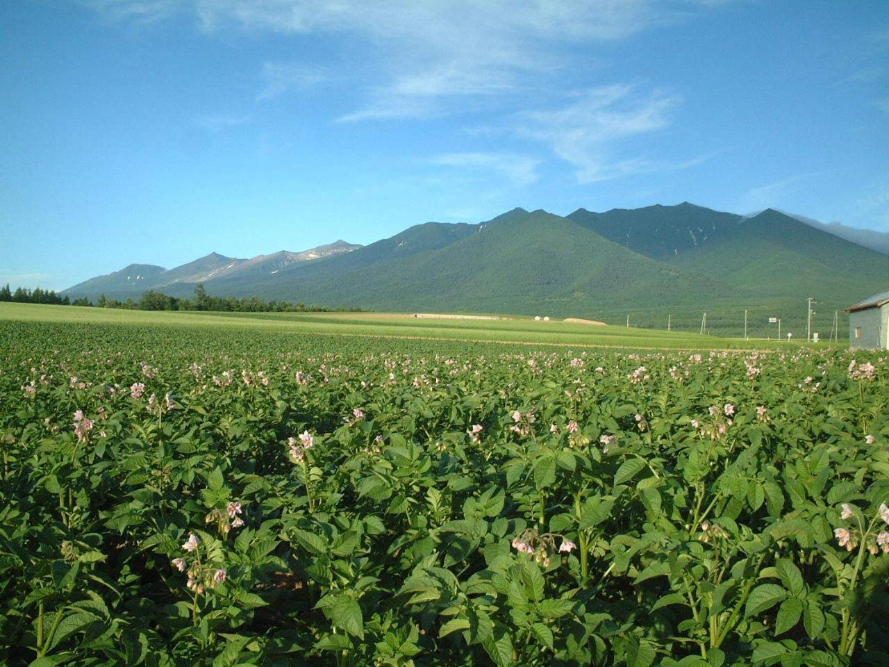 ゲストハウス　夕茜舎 中富良野町 エクステリア 写真