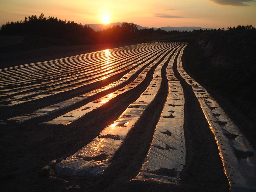 ゲストハウス　夕茜舎 中富良野町 エクステリア 写真