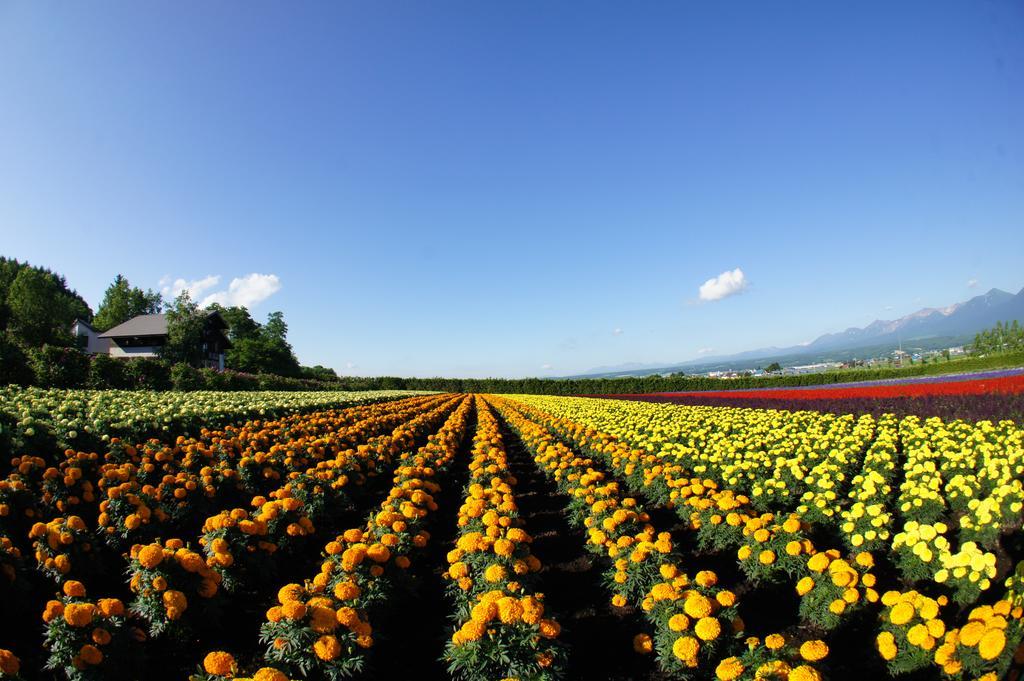 ゲストハウス　夕茜舎 中富良野町 エクステリア 写真